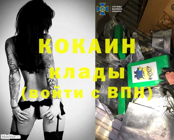 mdpv Бородино