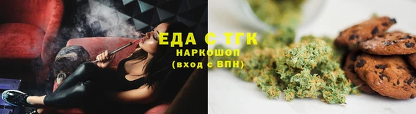 mdpv Бородино