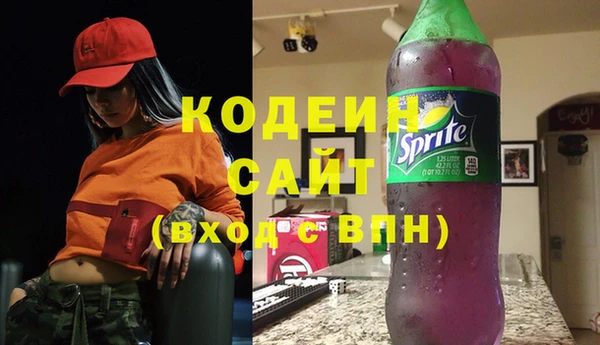 mdpv Бородино