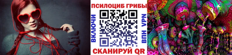 где купить наркоту  Вилючинск  Псилоцибиновые грибы мухоморы 